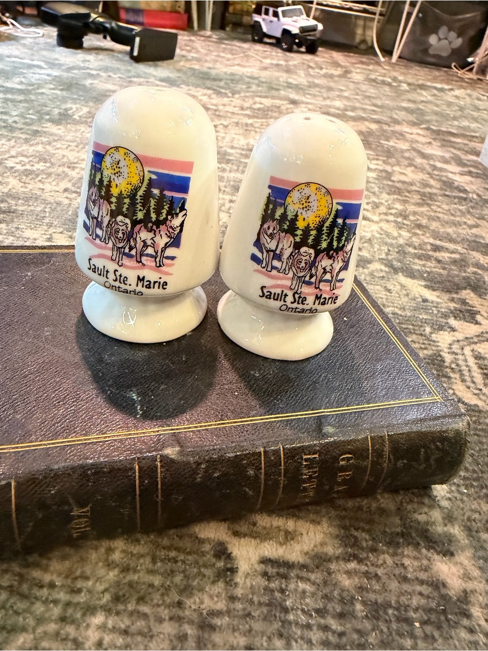 Sault Ste. Marie Ontario salt and pepper shakers.